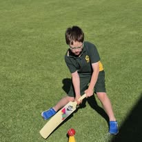 Cricket
